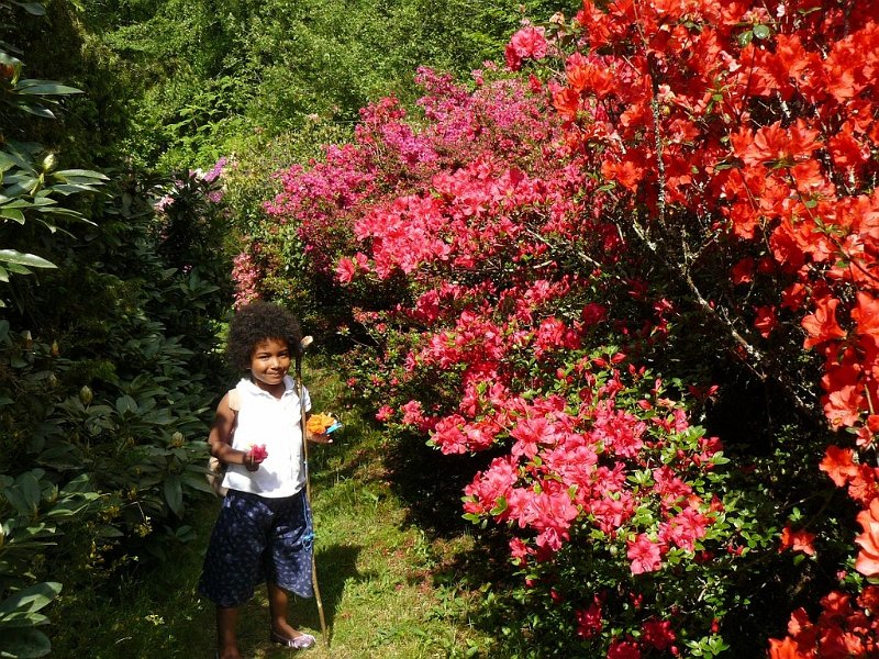 2008 05 Séjour à Martel 09